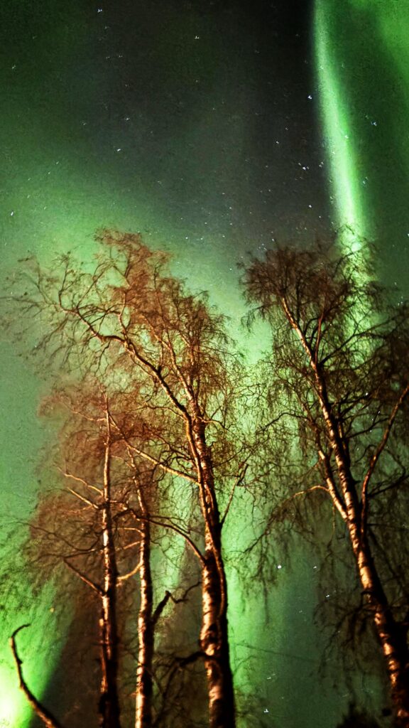 aurora borelis