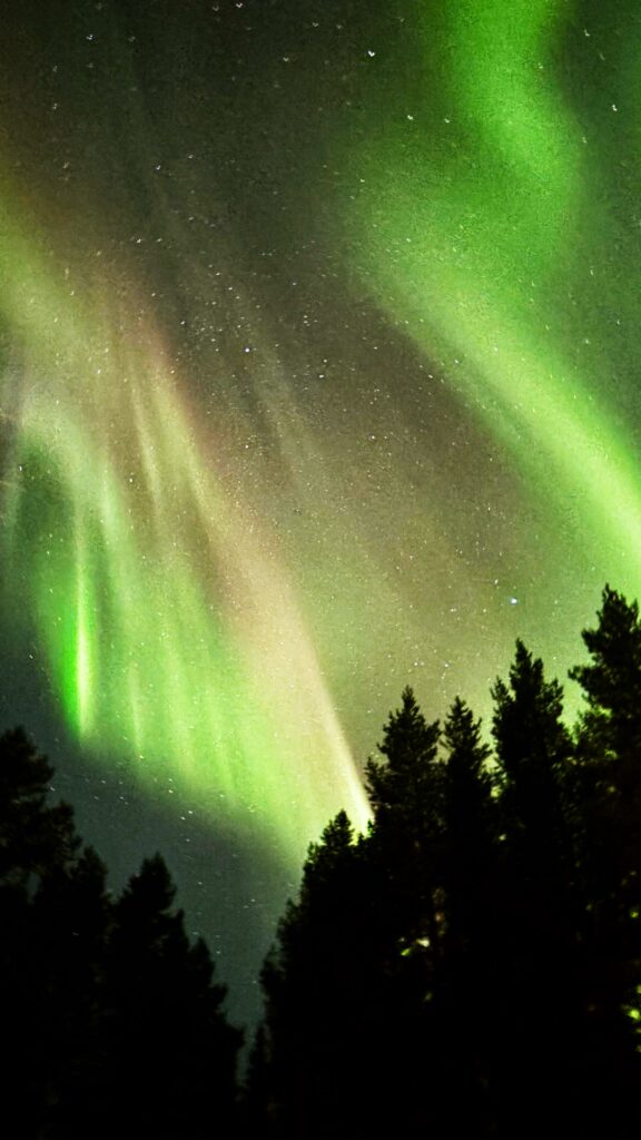 aurora borelis in norrbotten