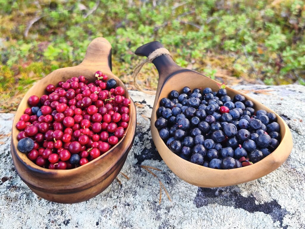 kuksa cup hand carved in birch wood,