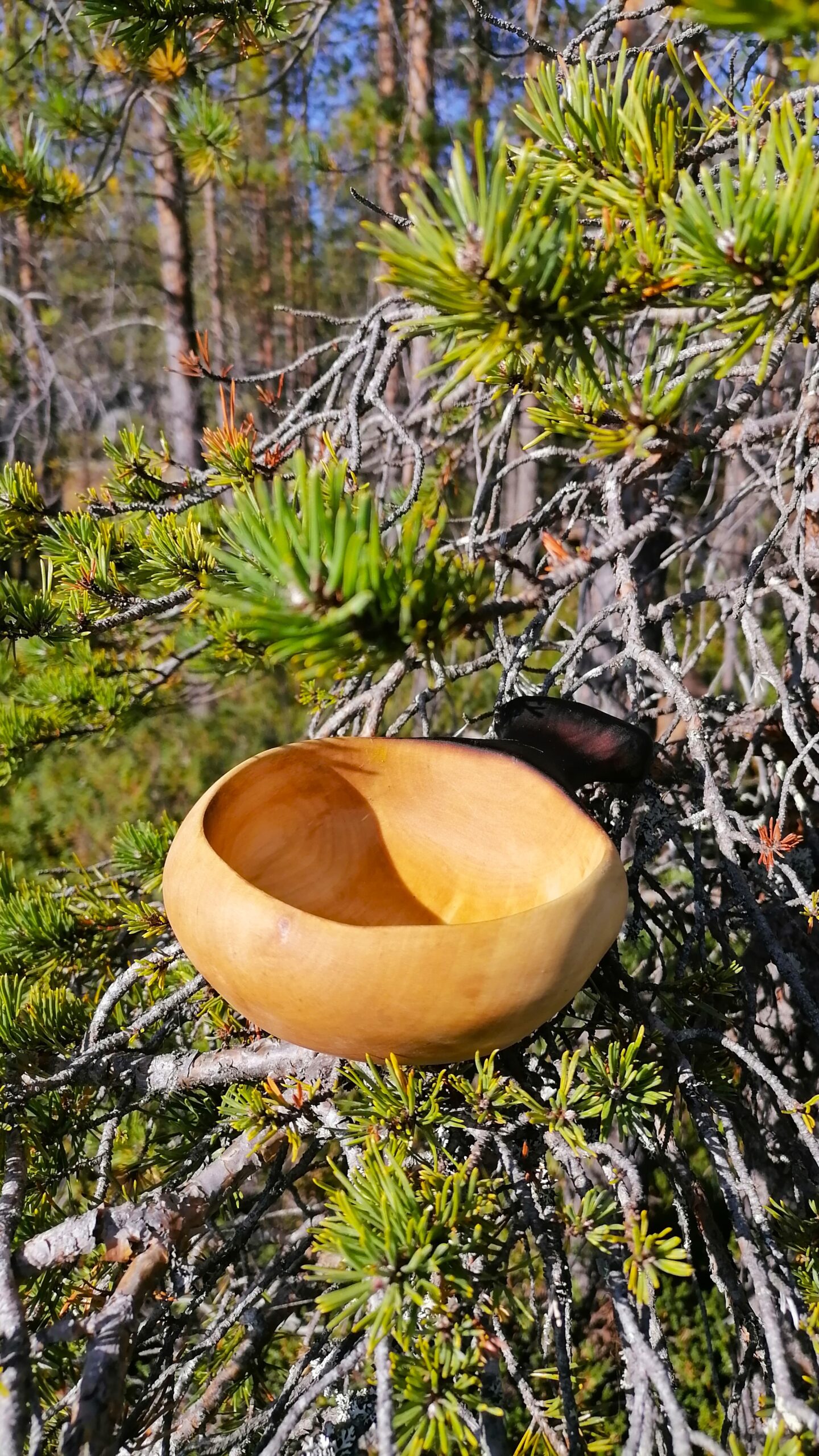 large kuksa kåsa wooden coffee mug bushcraft bowl
