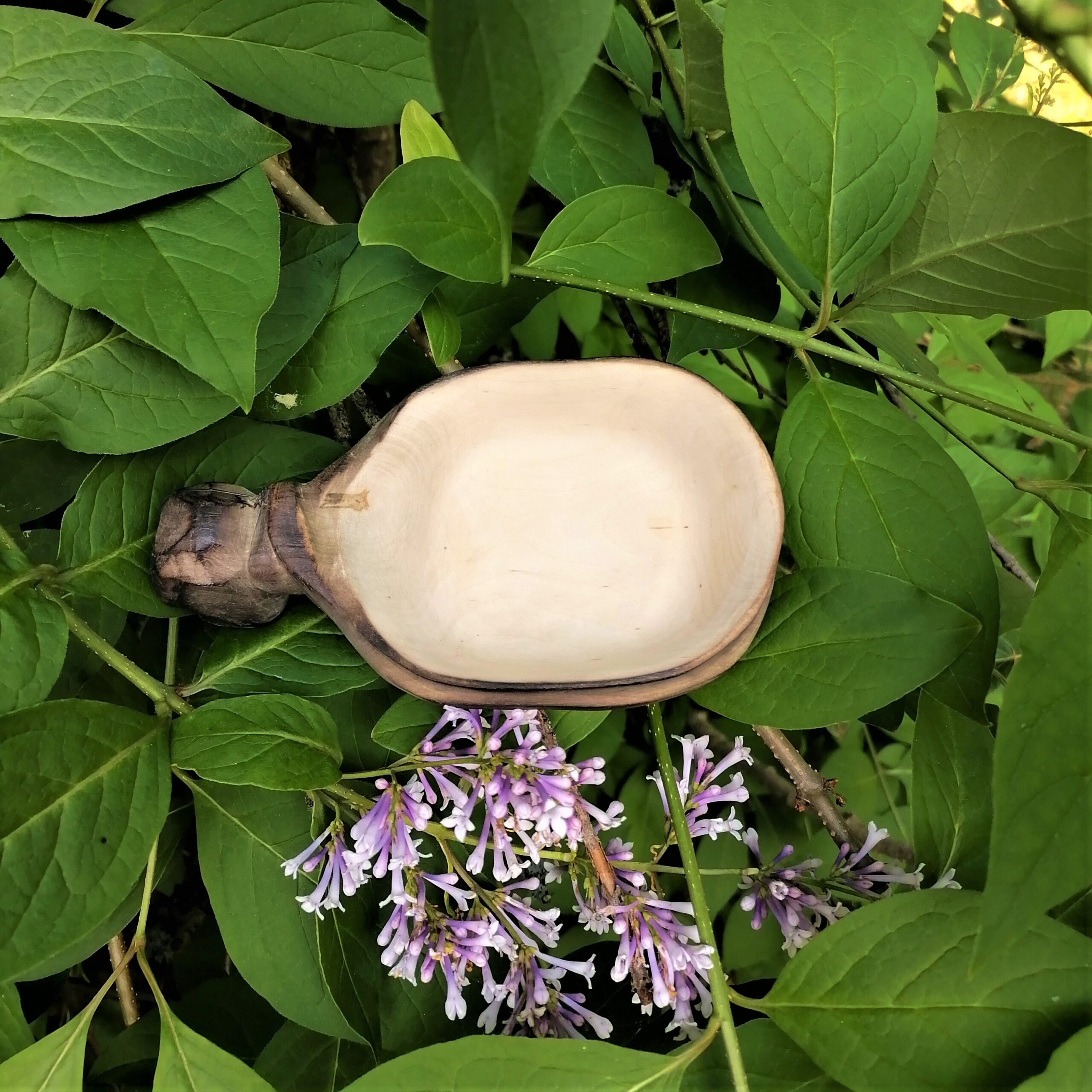 kuksa cup camping mug viking wooden coffee cup kåsa