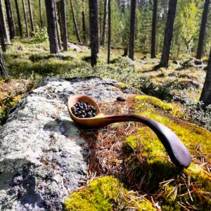 Wooden Ladle